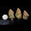 Bubblegum Glue - Lime Pop