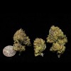 Cookies and Cream Cannabis