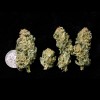 Miracle Alien Cookies