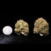 Sherbet - Bubblegum Glue