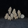 Tropical Infusion - Premium