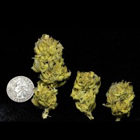 White Tahoe Cookies