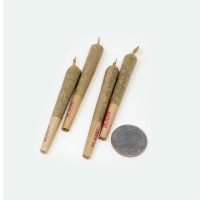 Add on - Half Gram Pre Roll