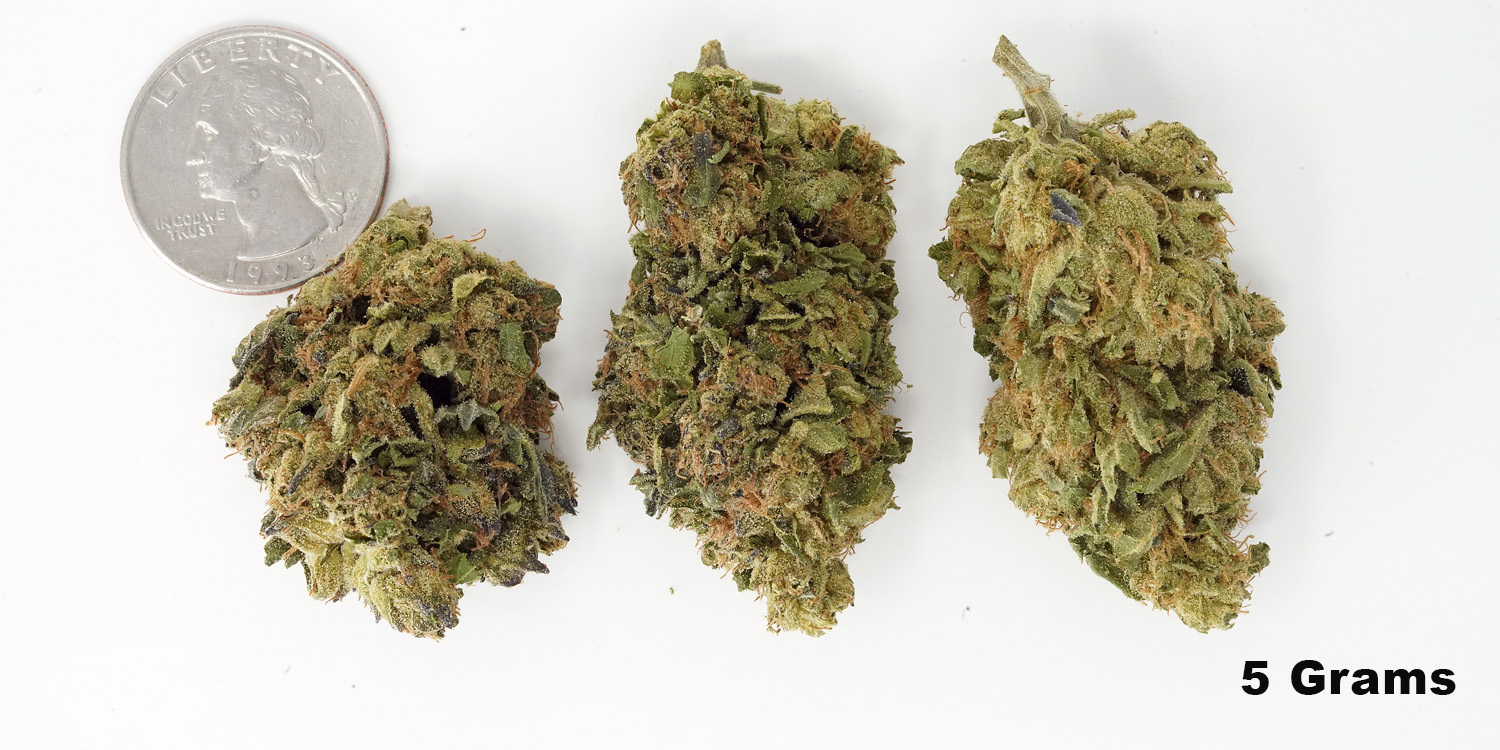 Sherbert - Indica Hybrid Cannabis