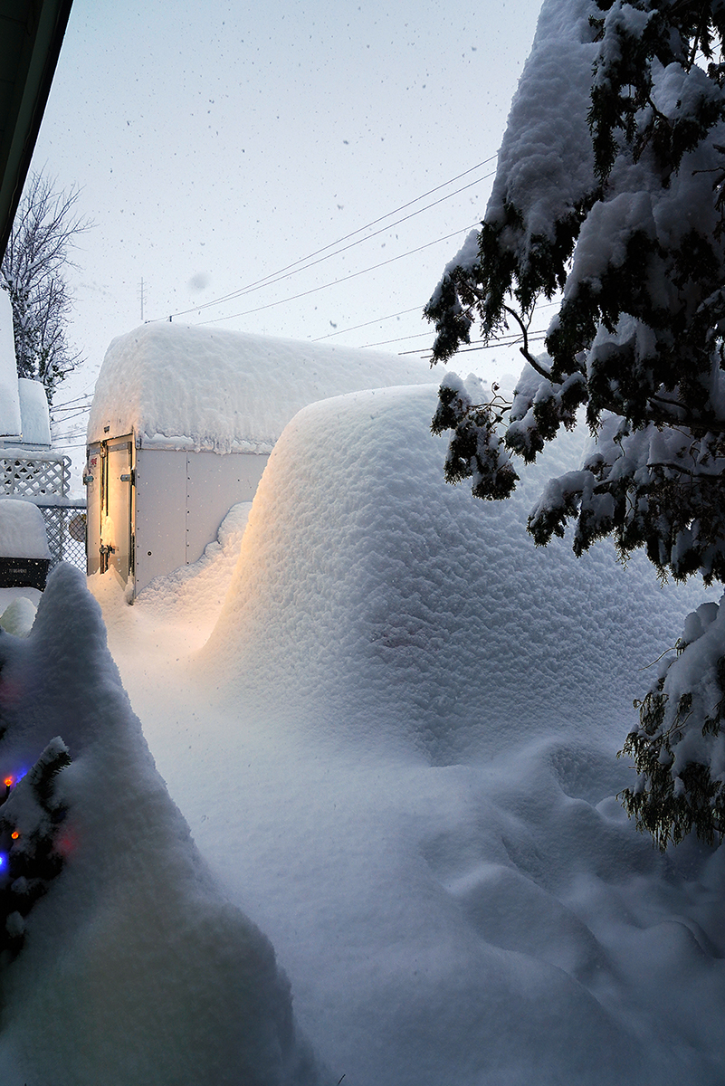 PNW Snow