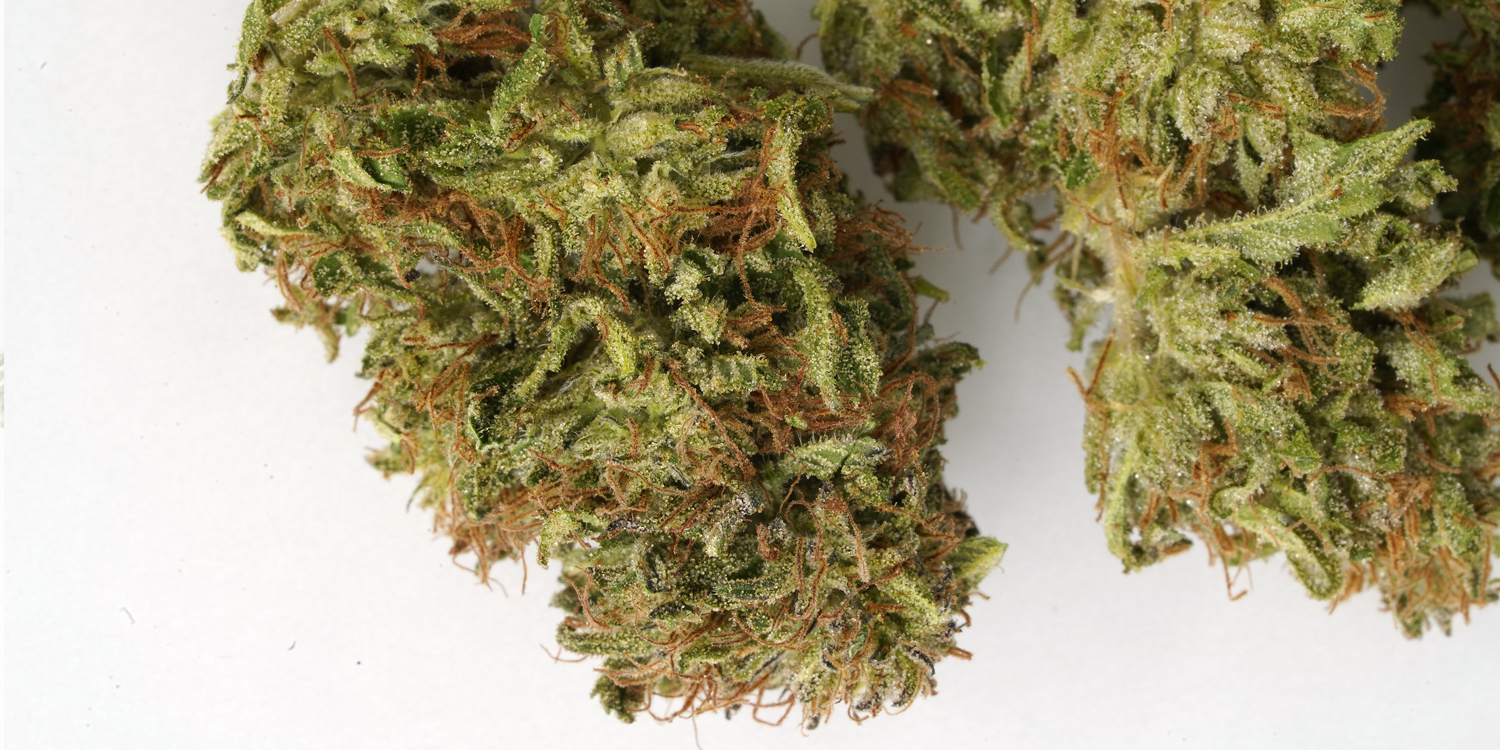 New Buds Are In