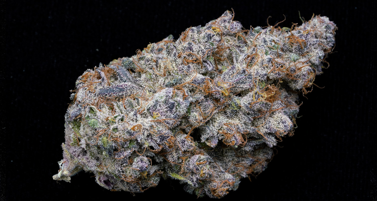 BluBerryMotoroil02