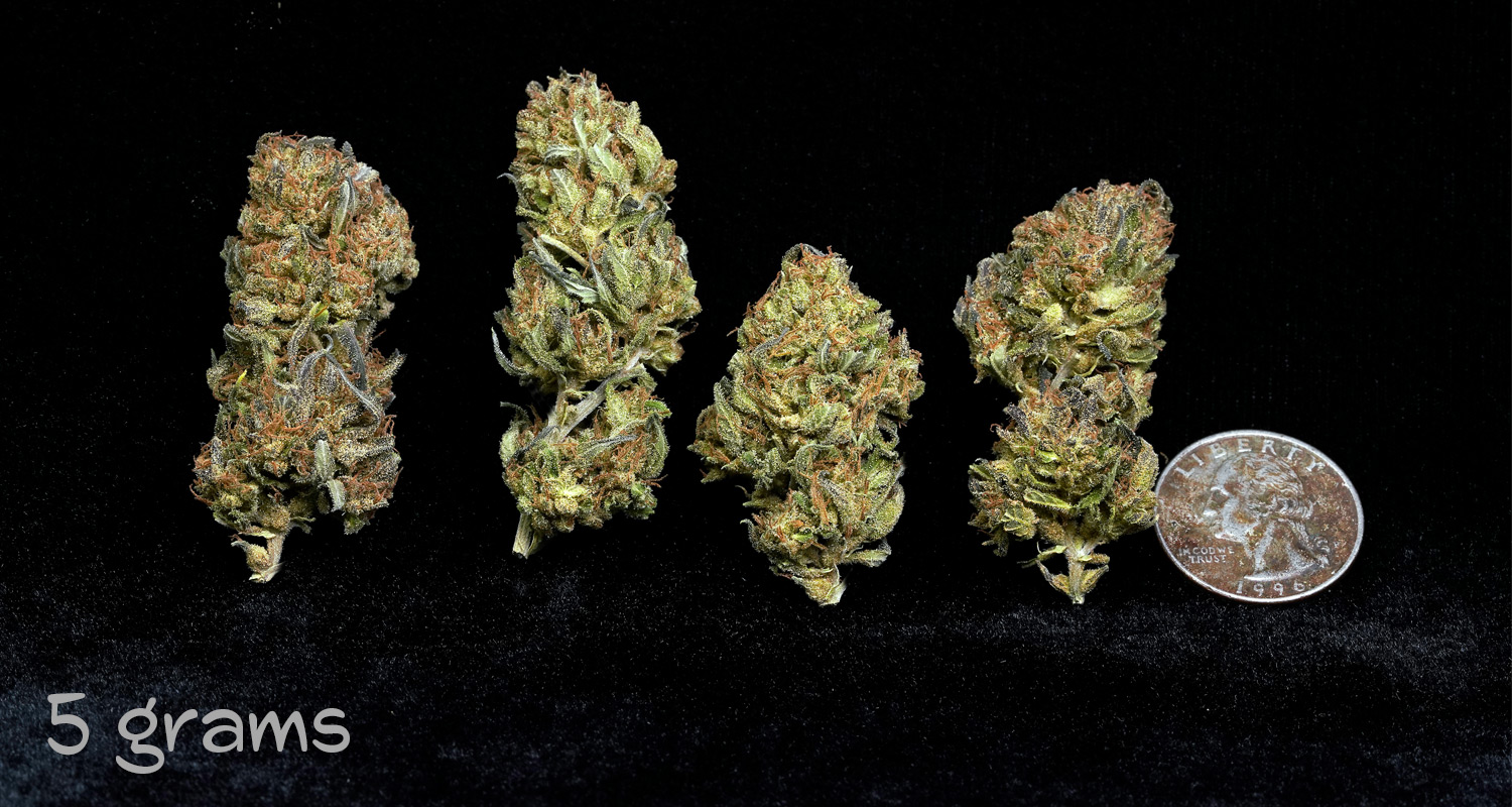 Bubba Kush