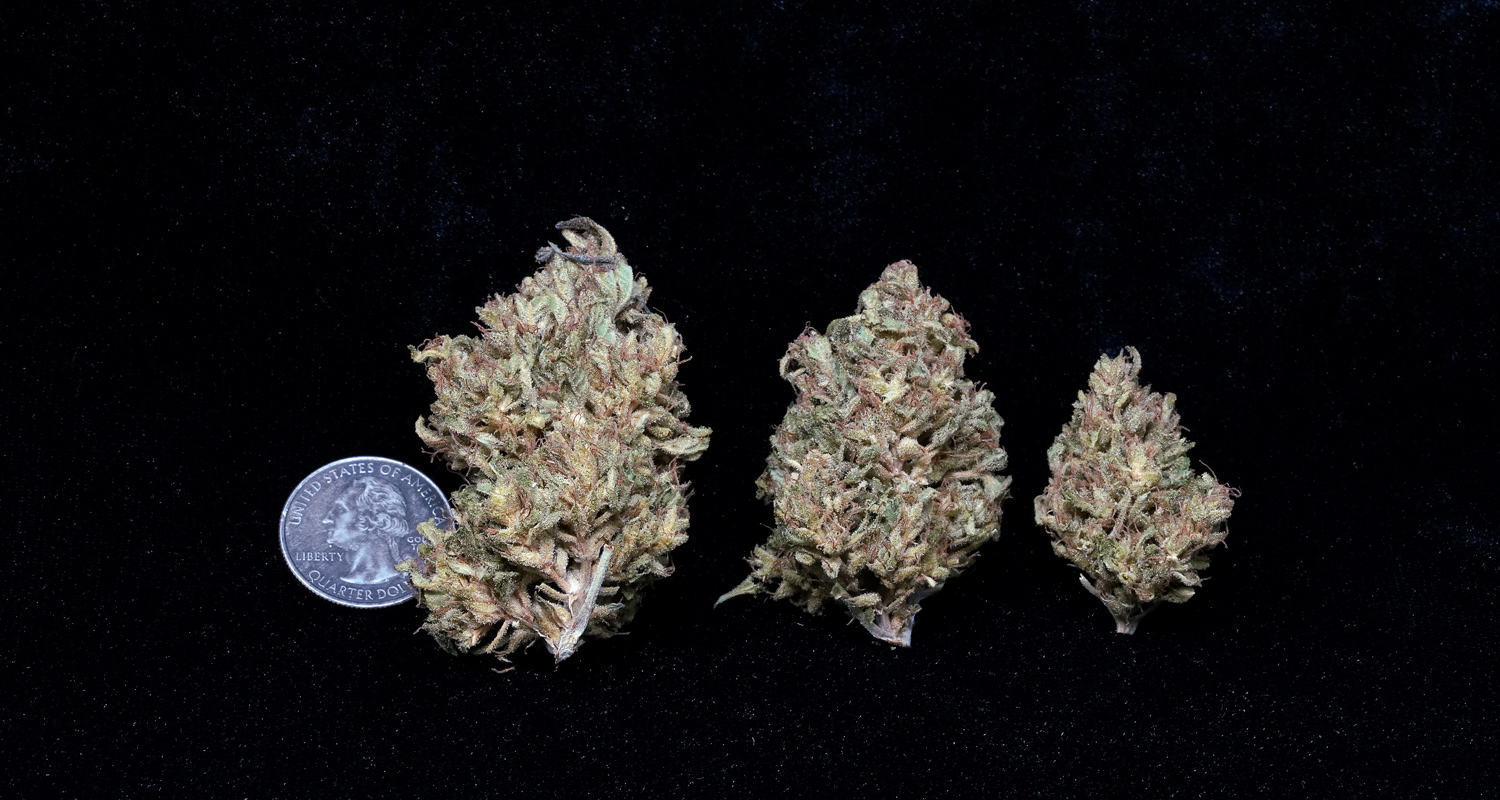 AffyFire TriKush