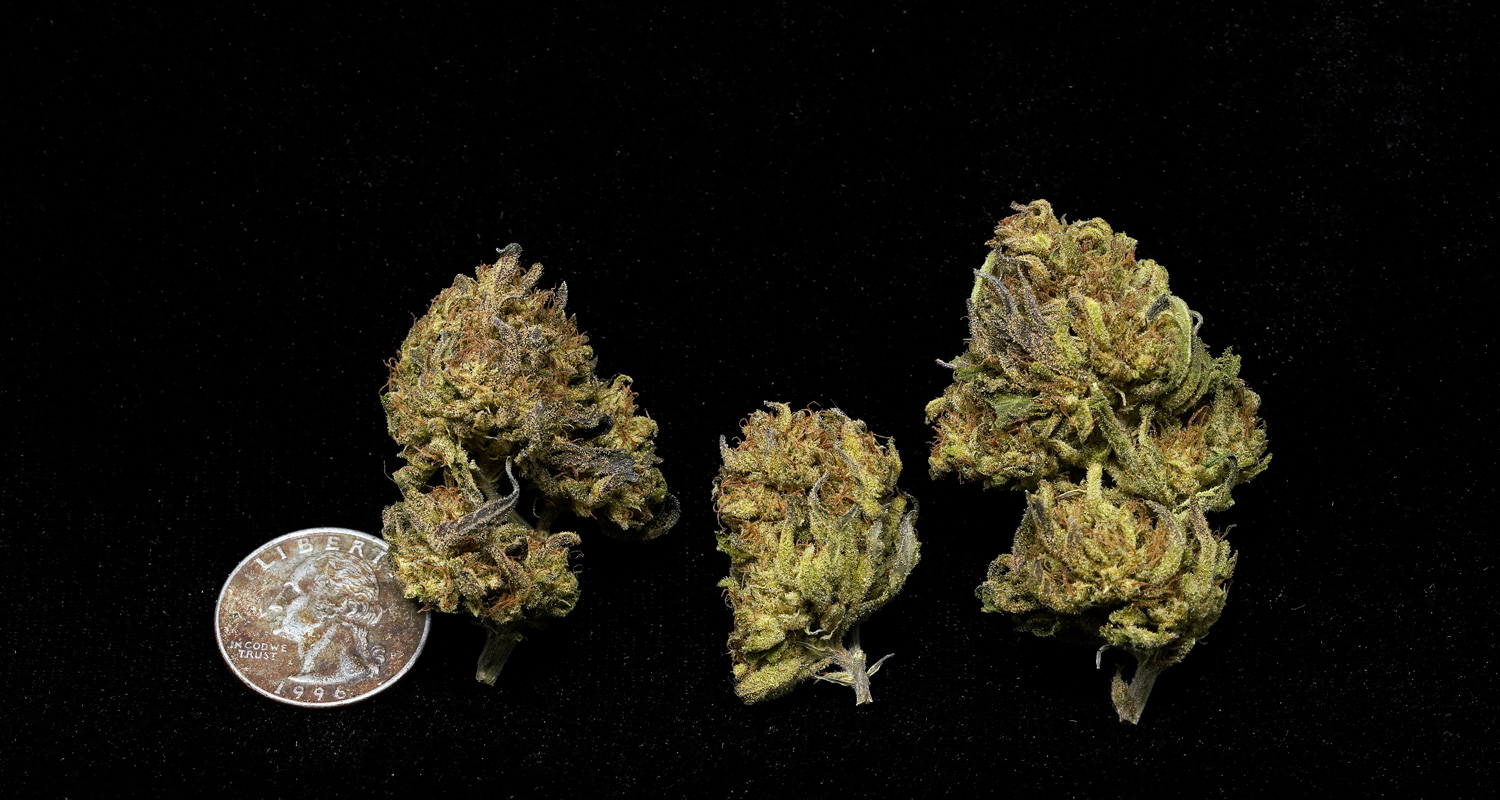 Cookies and Cream Cannabis