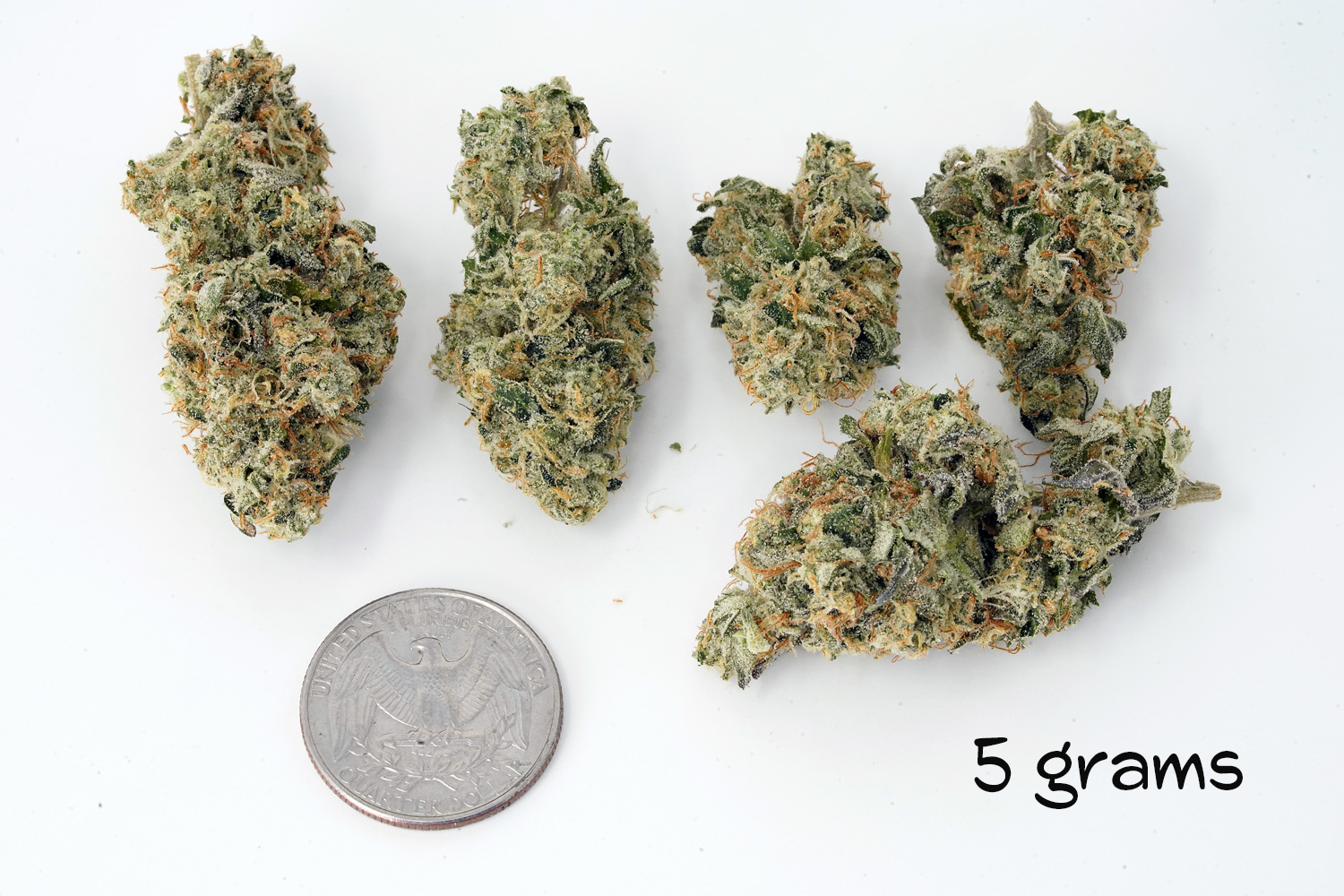 GMO - Indica dominant marijuana