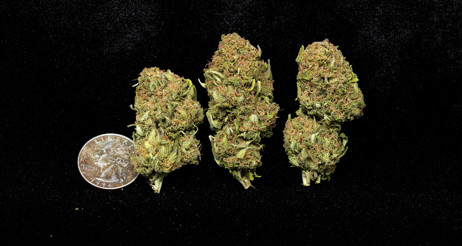 Green Poison