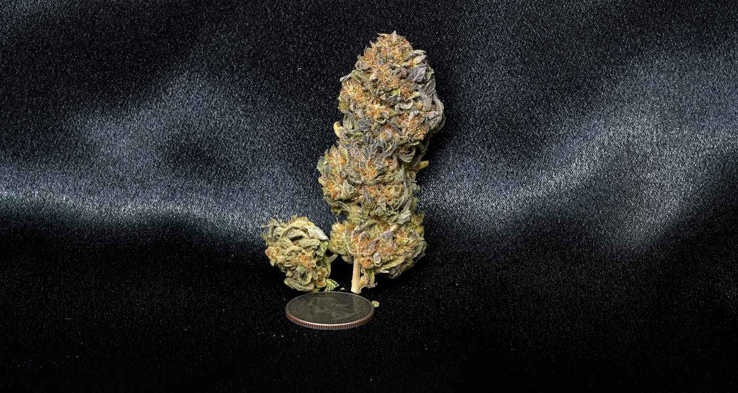 Ice Cream Cake Cannabis