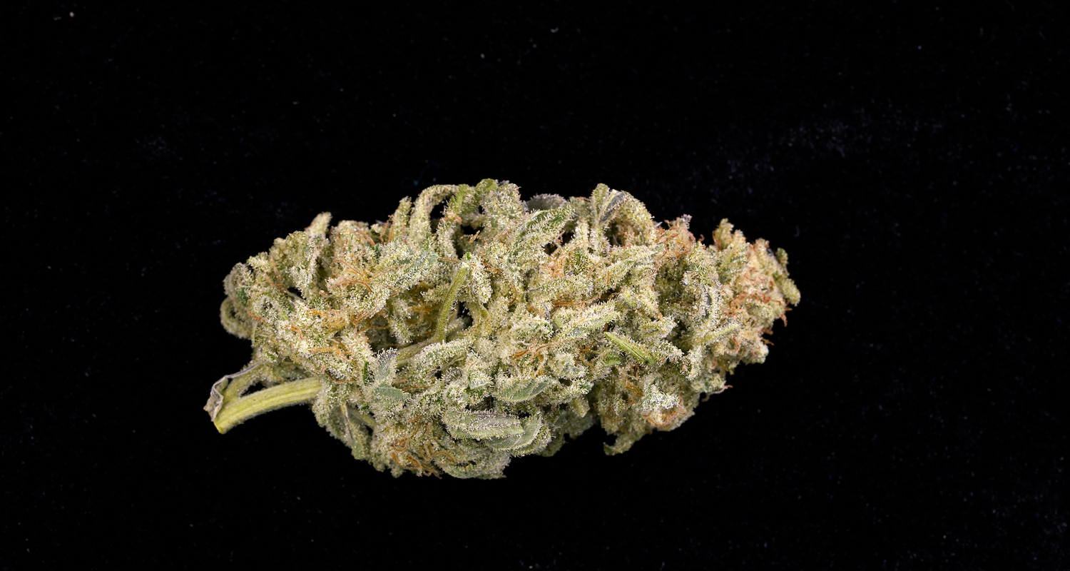 New Greenhouse Strains