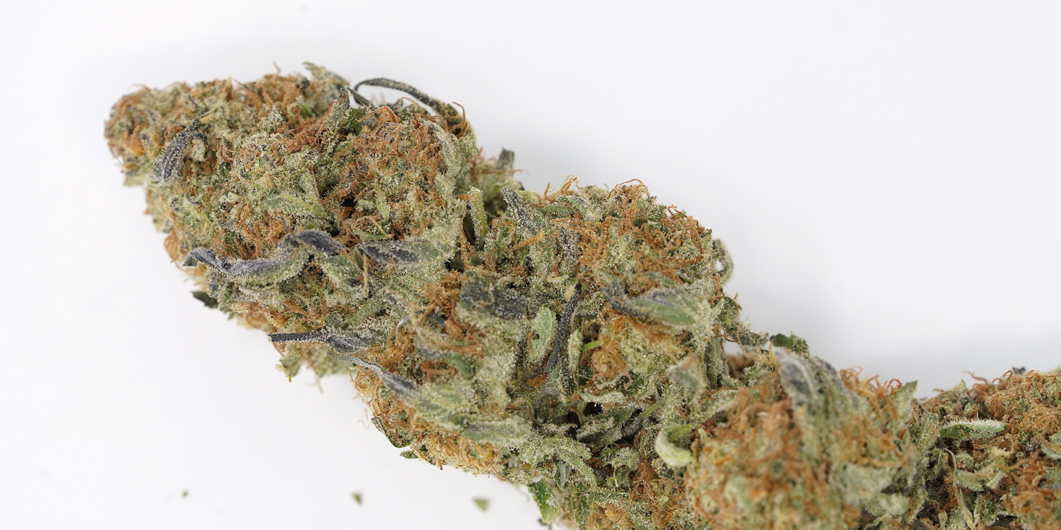 Fresh Buds - New Strains
