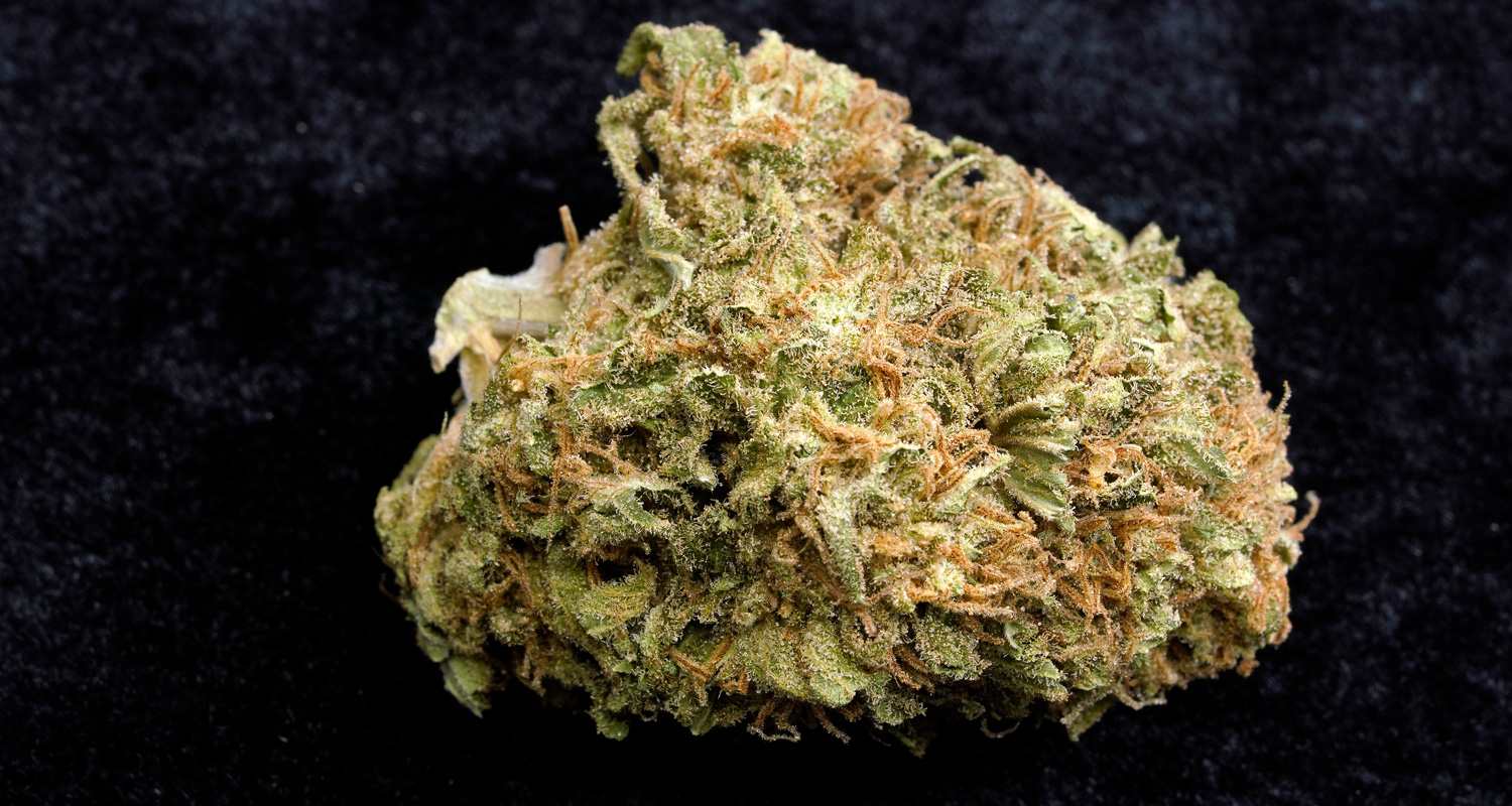 Sherbet Bubblegum Glue Lime Pop