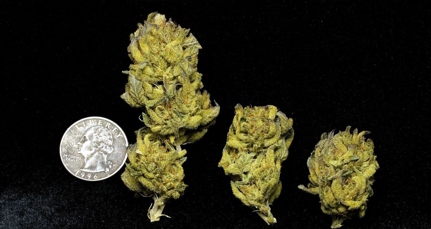 White Tahoe Cookies